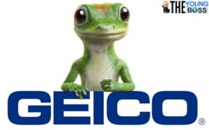 Geico