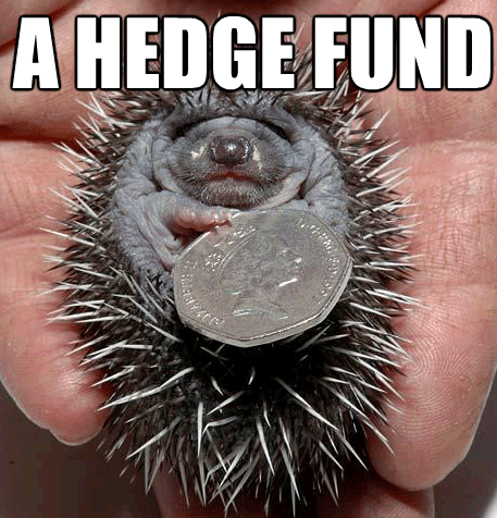 hedgehog hedge fund 50 pence invest