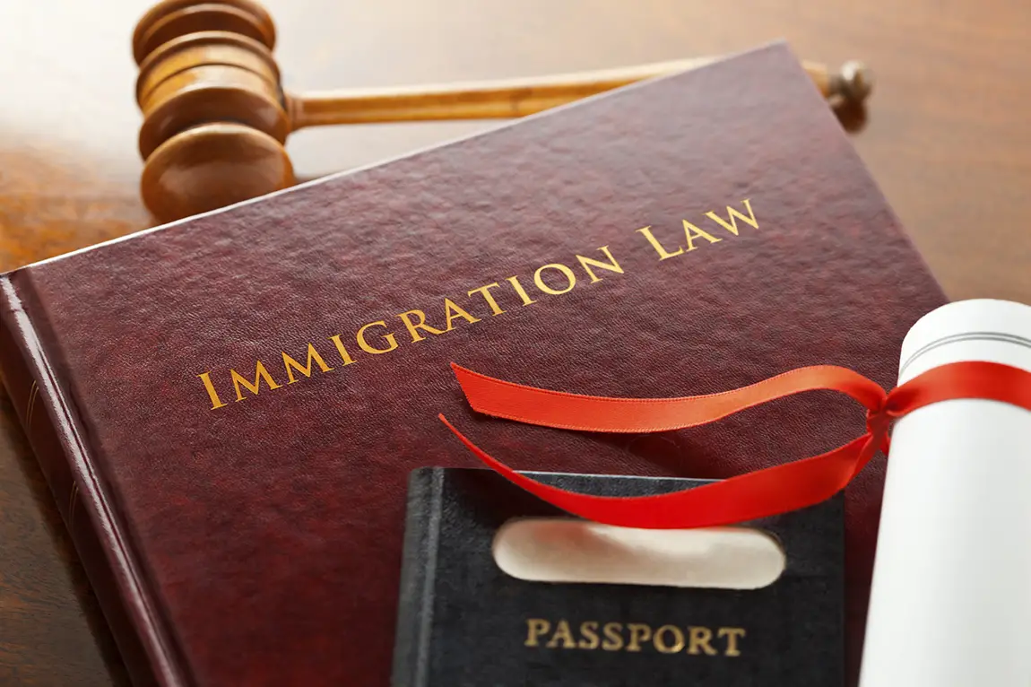 Immigration Lawyer